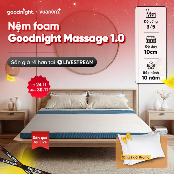 TẶNG 2 GỐI] Nệm Foam Cấu Trúc Lượn Sóng Goodnight Massage 9cm, nệm foam êm, nệm foam cao cấp